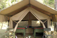 Jungle Safari Tents