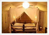 Luxury Tents