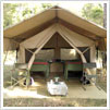 Jungle Safari Tents
