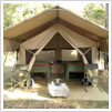 Jungle Safari Tent