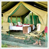 Jungle Safari Tent