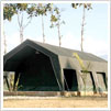 Jungle Safari Tent