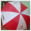 Promotional Umbrella